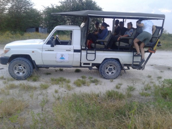 mobile safari maun